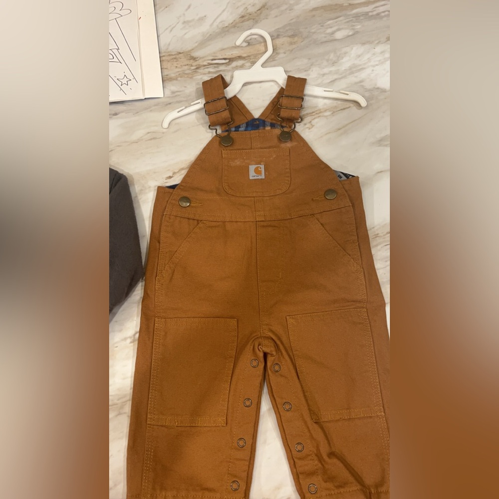 Flannel lined Carhartt overalls